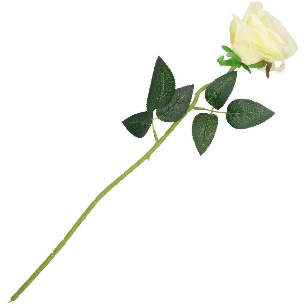 Róża pojedyncza 50cm 6/9cm ecru (Zdjęcie 2)