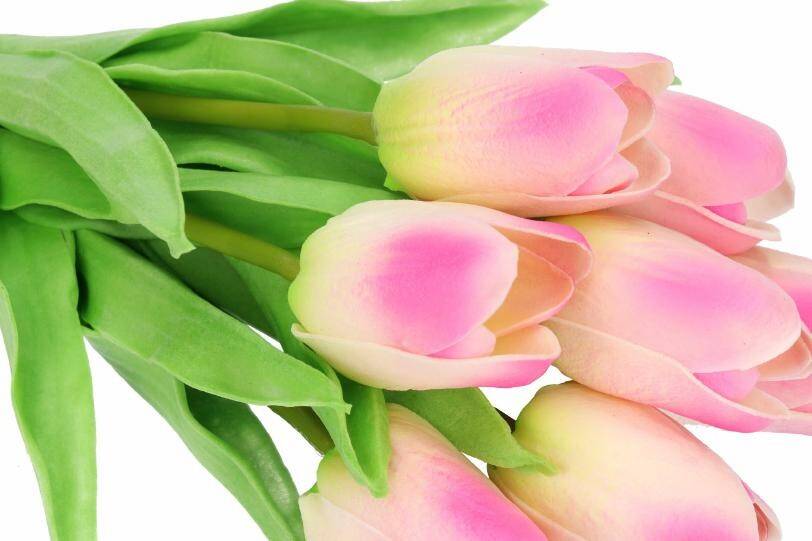 Tulipan z pianki x7 -sztucz.rośl. różowe (Zdjęcie 3)