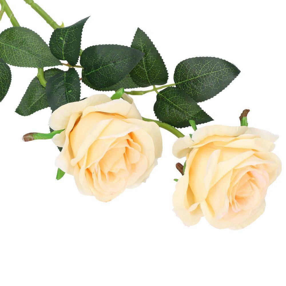 Róża pojedyncza 50cm 6/9cm nbrzoskwiniow (Zdjęcie 3)