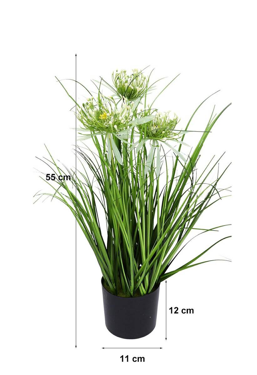 Trawa w doniczce białe kwiaty 55cm (Zdjęcie 2)