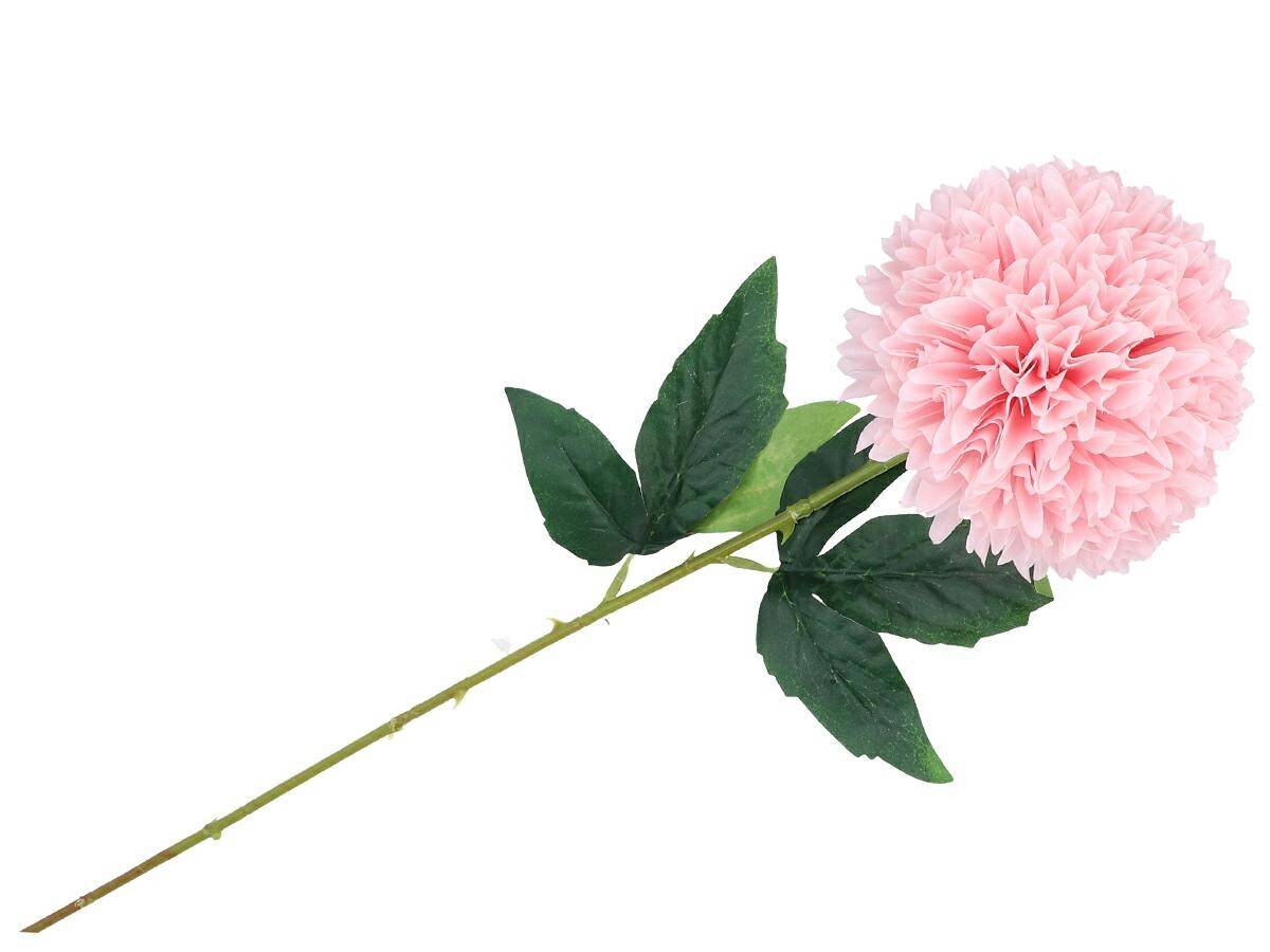 CZOSNEK POJEDYNCZY 63cm różowy (Zdjęcie 4)