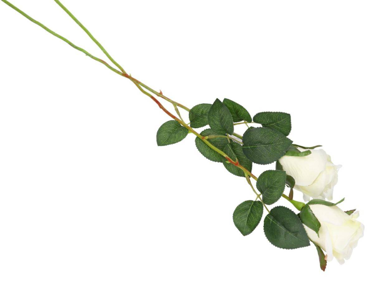 Róża pojedyńcza 57cm biała pąk 6cm (Zdjęcie 2)