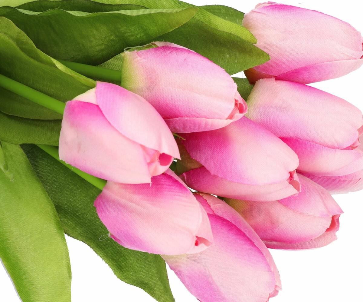 Bukiet tulipanów 9 szt. (Zdjęcie 3)