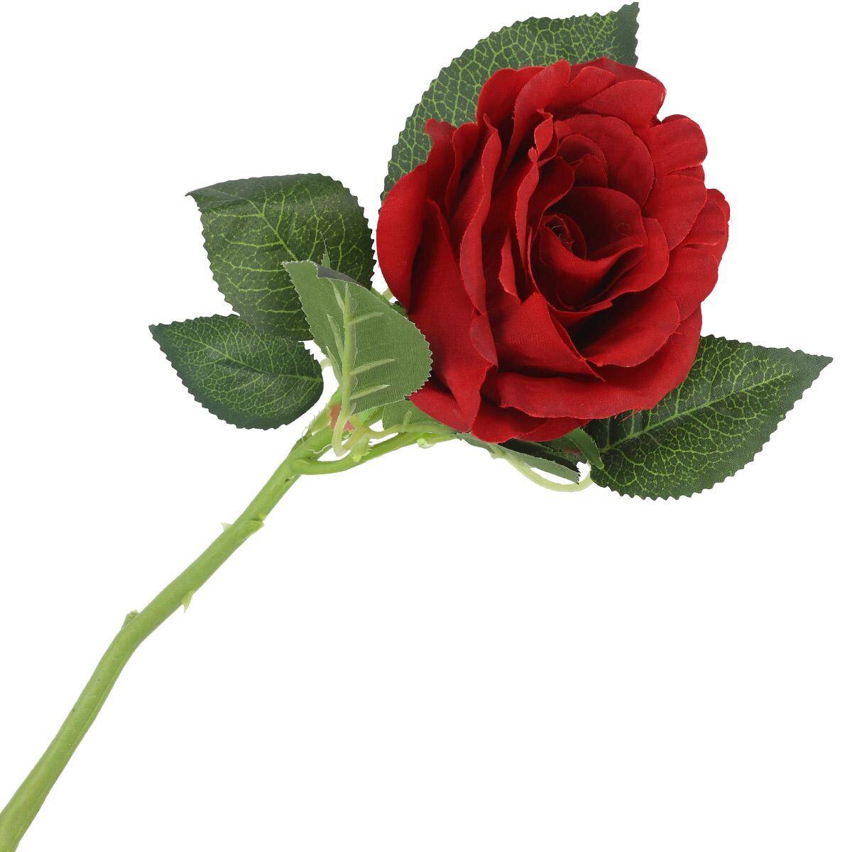 Róża pojedyncza 30cm RED (Zdjęcie 3)