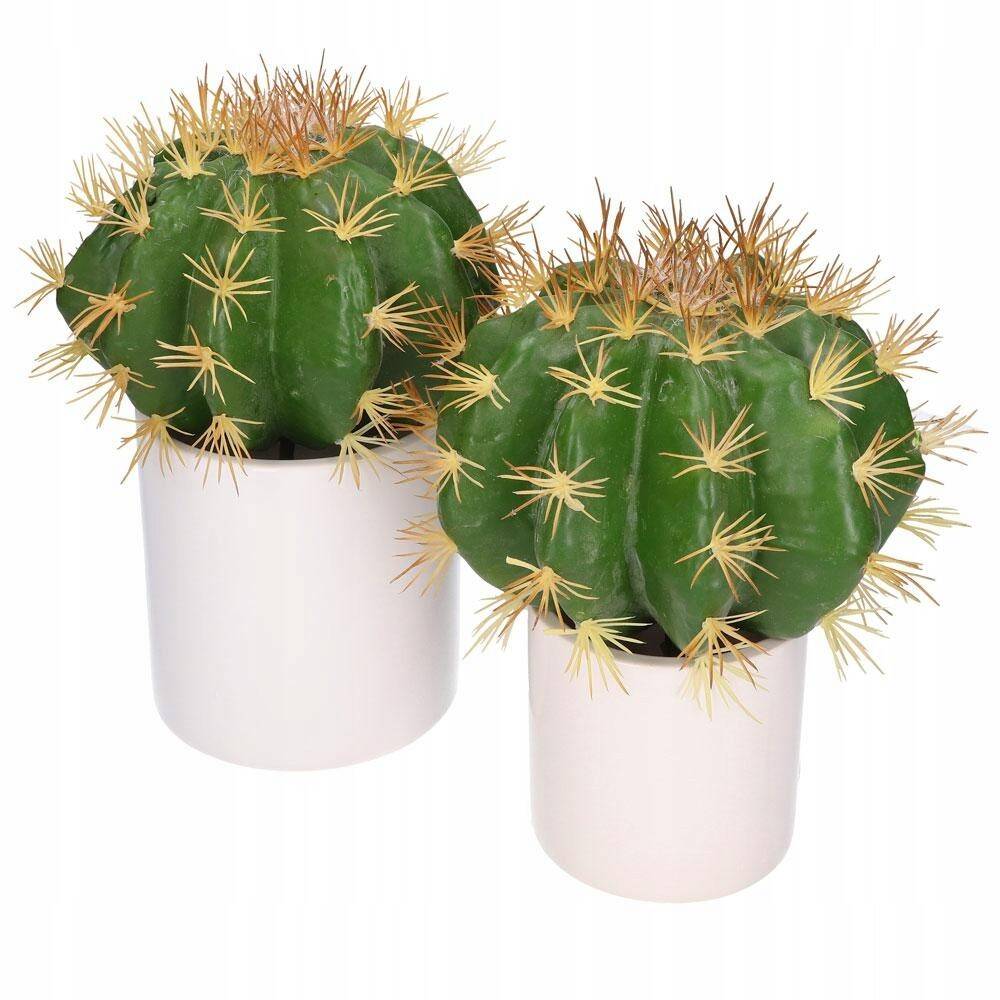 Kaktus dekoracyjny echinocactus 22/13cm (Zdjęcie 6)
