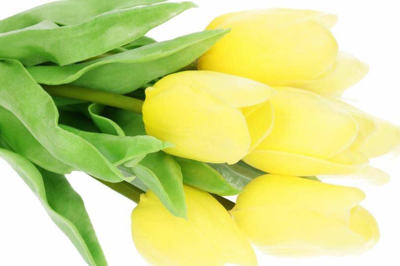 Tulipan z pianki x7 żółty (Zdjęcie 3)