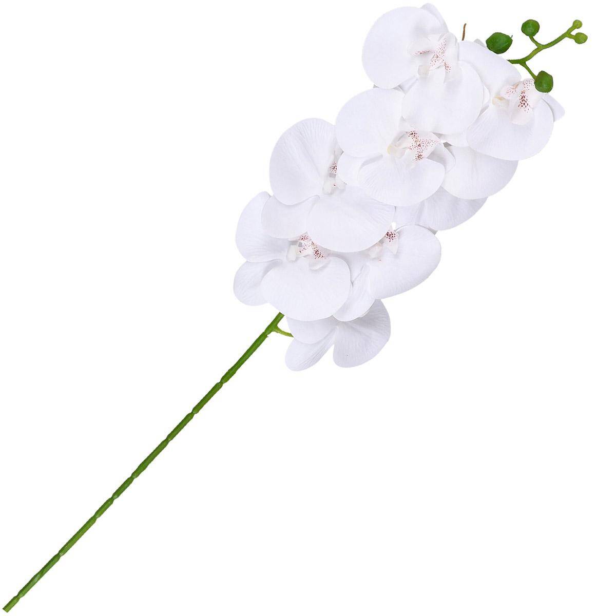 Storczyk 100cm biały rózowy środek (Zdjęcie 3)