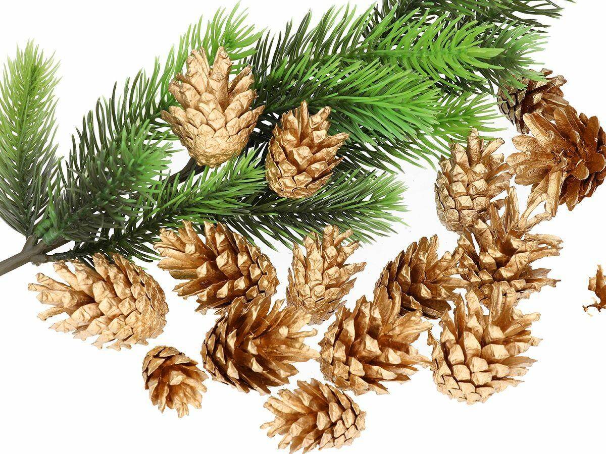 Pinus Sylvestris met/brokat pacz/100g (Zdjęcie 4)
