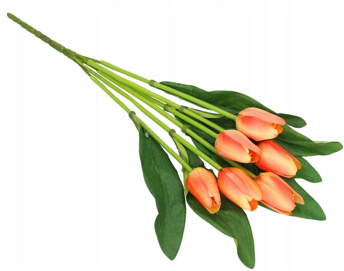 Bukiet tulipanów 6 szt. (Zdjęcie 12)