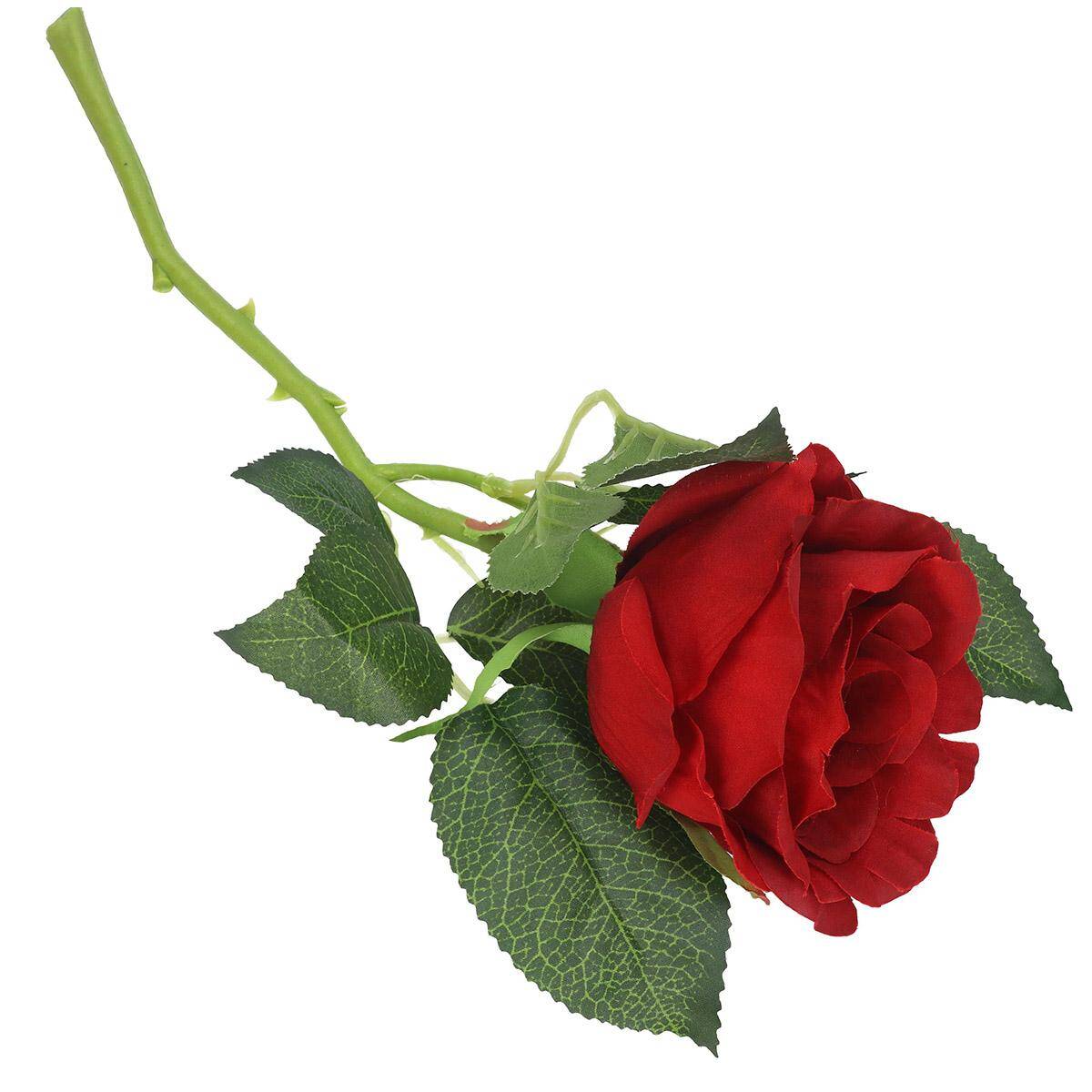 Róża pojedyncza 30cm RED (Zdjęcie 4)