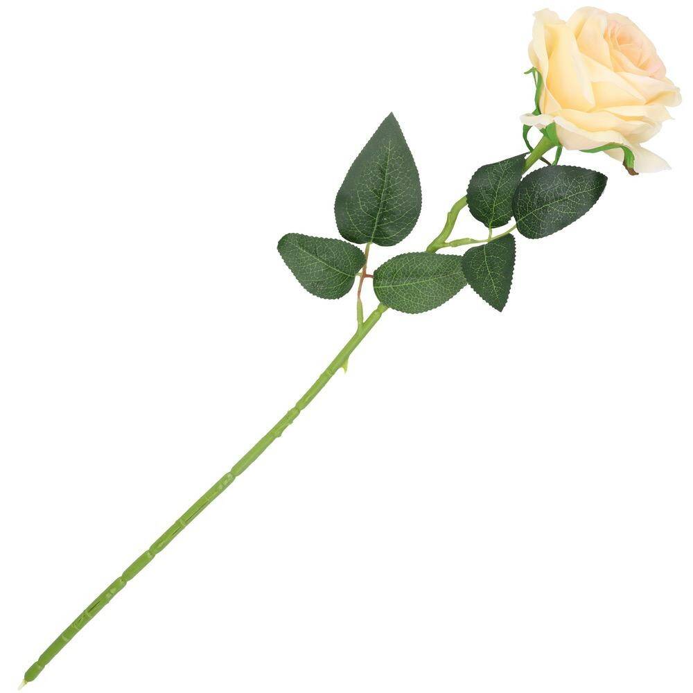 Róża pojedyncza 50cm 6/9cm nbrzoskwiniow (Zdjęcie 2)
