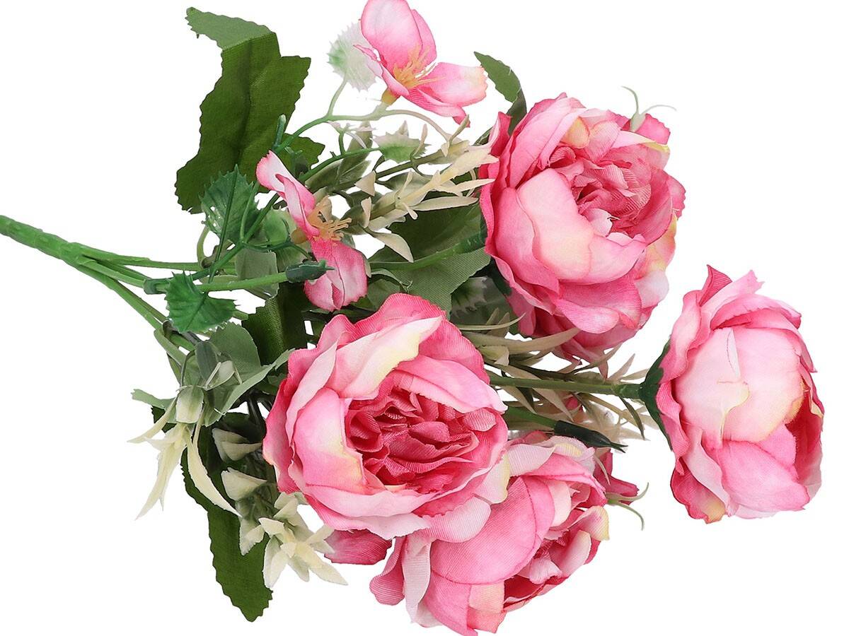 PEONIA BUKIET różowy-biały (Zdjęcie 5)
