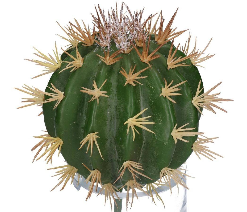 Kaktus dekoracyjny echinocactus 22/13cm (Zdjęcie 1)