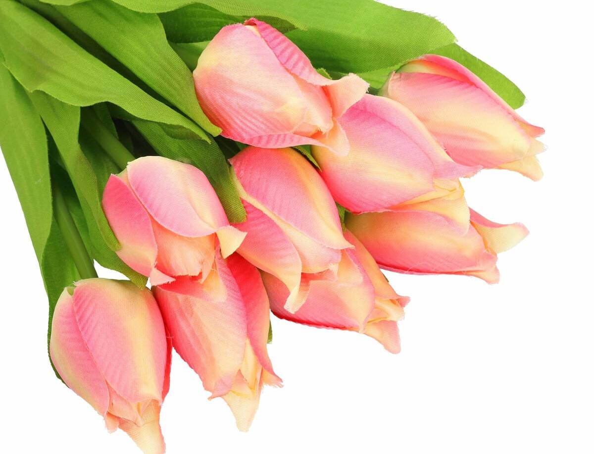 Bukiet tulipanów 9 szt. (Zdjęcie 5)