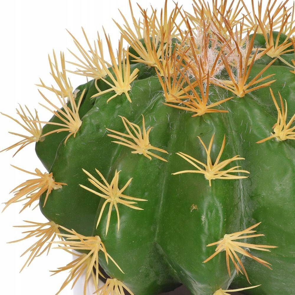 Kaktus dekoracyjny echinocactus 22/13cm (Zdjęcie 7)