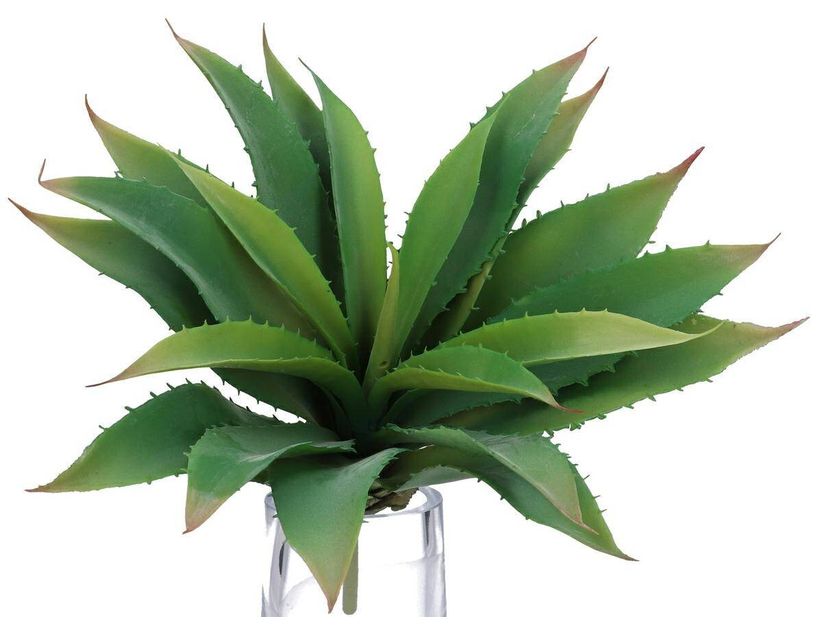 Kaktus dekoracyjny.agawa 30cm (Zdjęcie 1)