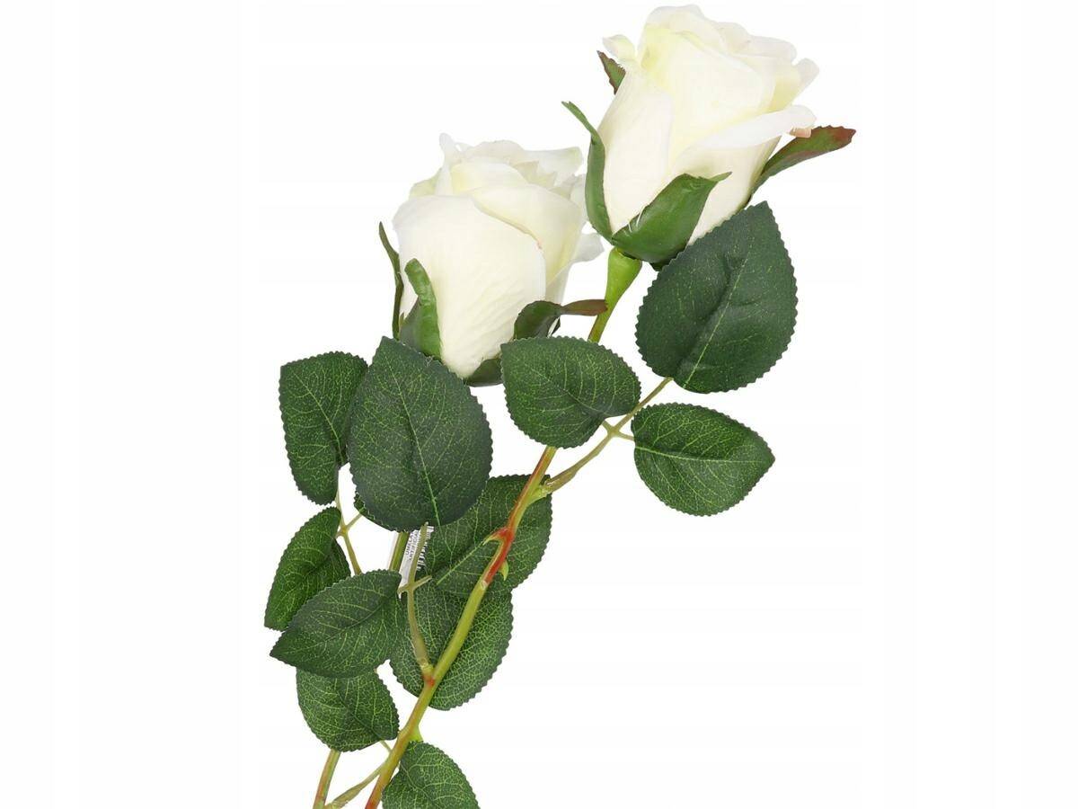 Róża pojedyńcza 57cm biała pąk 6cm (Zdjęcie 8)