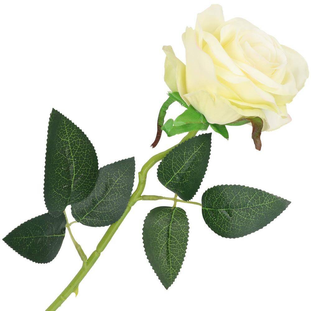 Róża pojedyncza 50cm 6/9cm ecru (Zdjęcie 1)