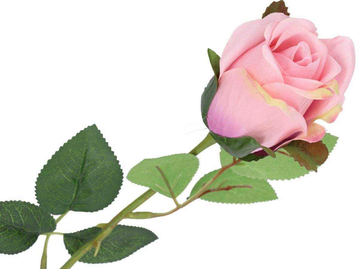 Róża pojedyńcza 57cm pąk 6cm różowa (Zdjęcie 1)