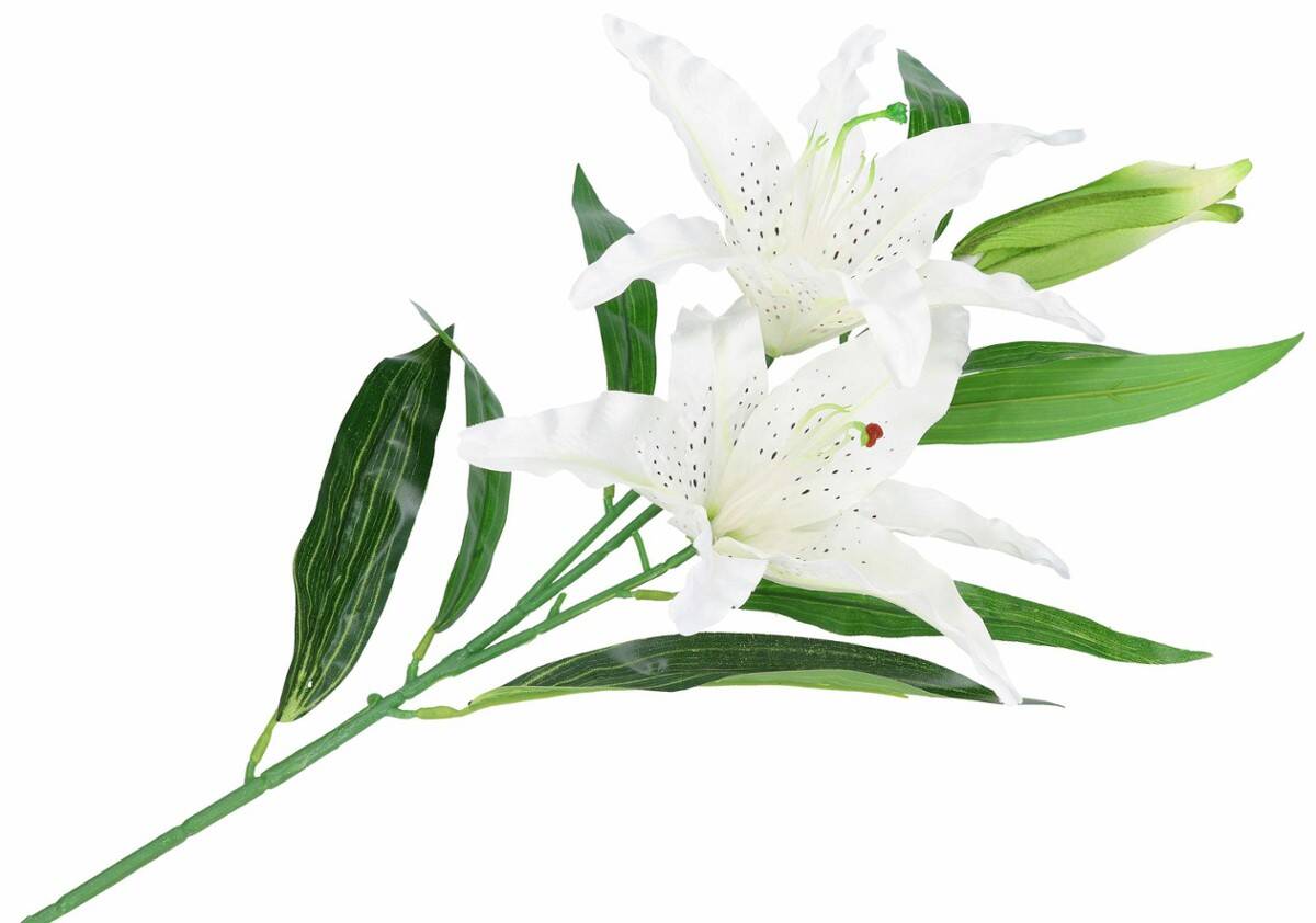 Lilia 2 kwiaty pąk biała 88cm (Zdjęcie 2)