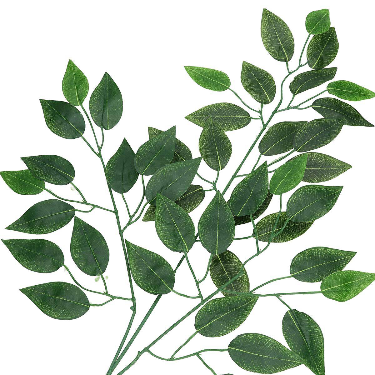 Liście fikus zielony  62cm