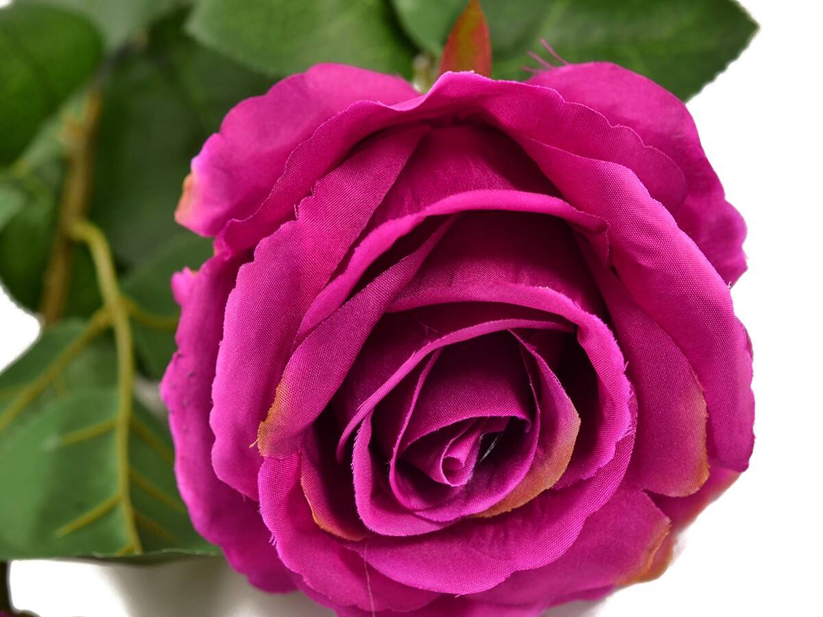Róża pojedyncza 80cm amarant (Zdjęcie 2)