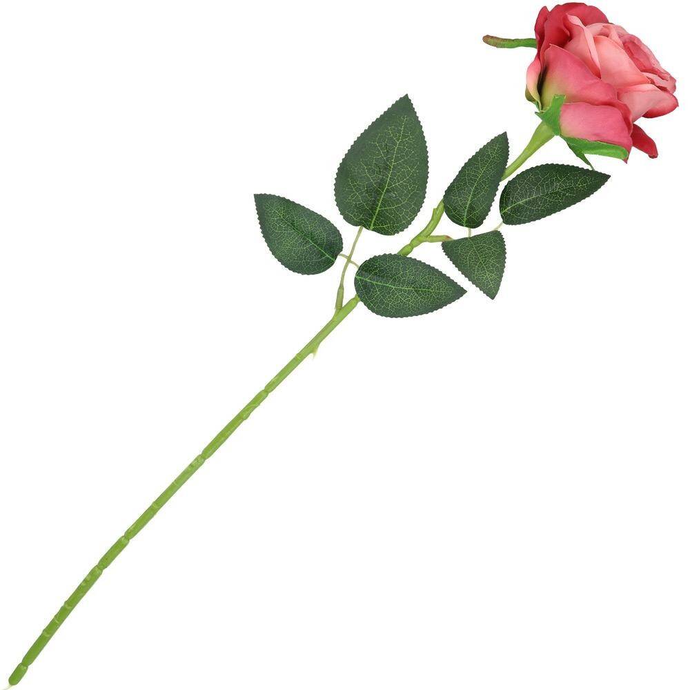 Róża pojedyncza 50cm 6/9cm pudrowy róż (Zdjęcie 2)
