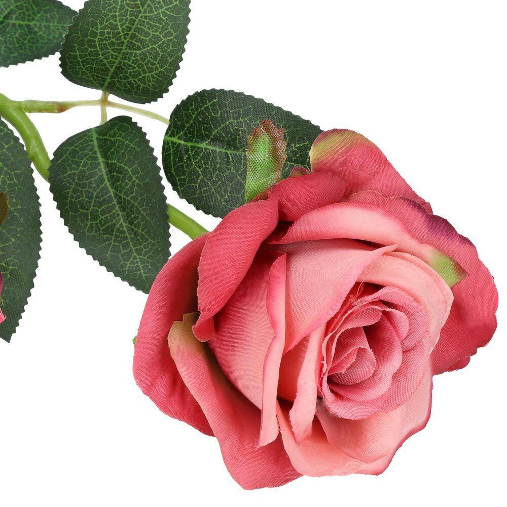 Róża pojedyncza 50cm 6/9cm pudrowy róż (Zdjęcie 3)