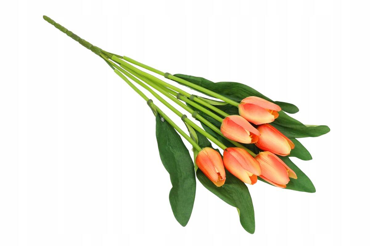 Bukiet tulipanów 6 szt. (Zdjęcie 11)