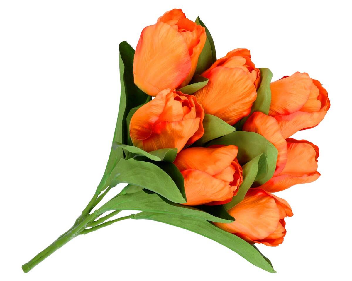 Bukiet tulipanów 7 szt. (Zdjęcie 3)