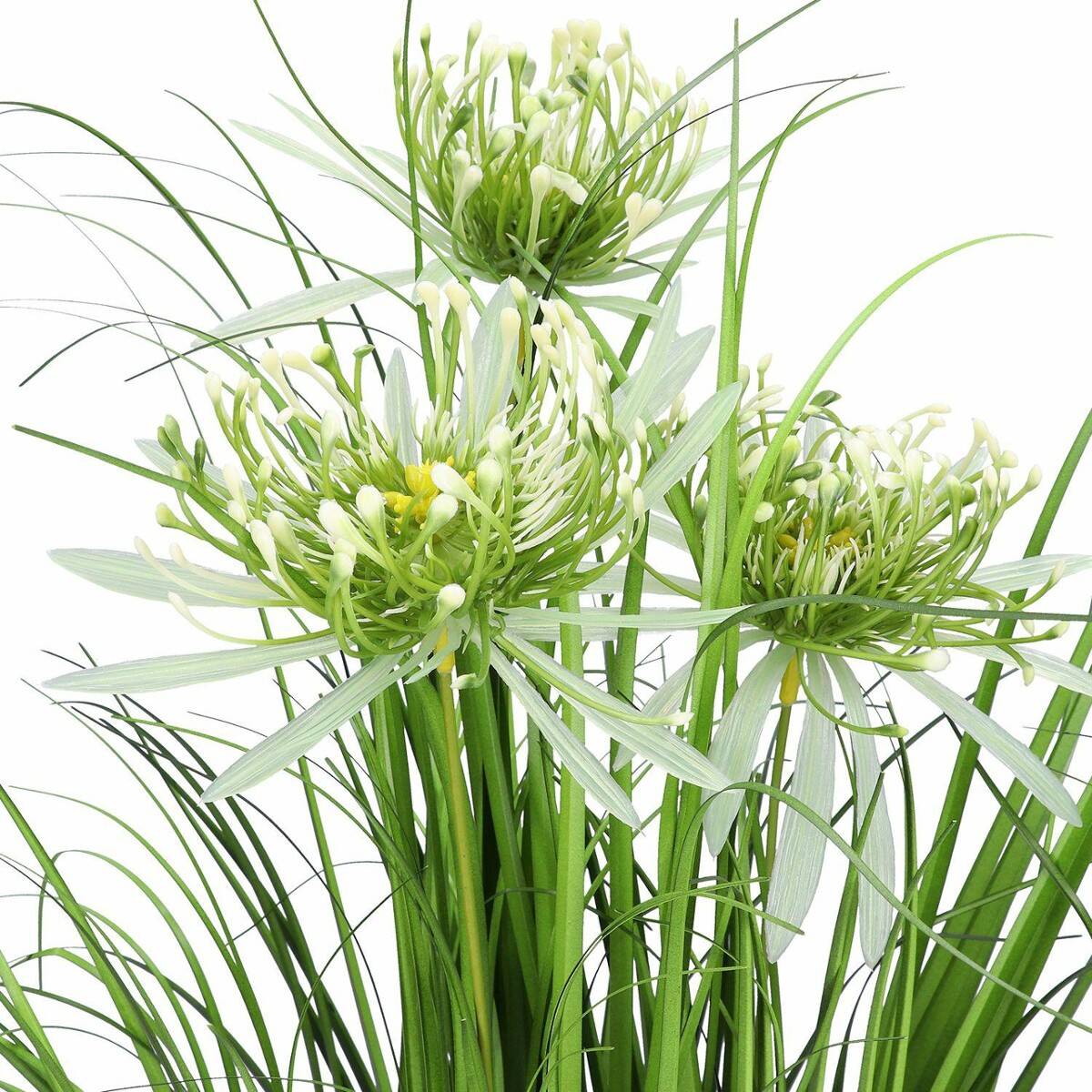 Trawa w doniczce białe kwiaty 55cm (Zdjęcie 3)