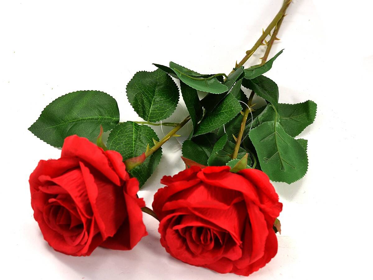 Róża pojedyncza 80cm czerwona (Zdjęcie 3)