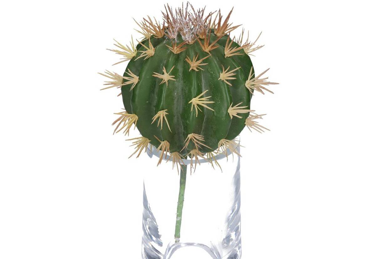 Kaktus dekoracyjny echinocactus 22/13cm (Zdjęcie 4)