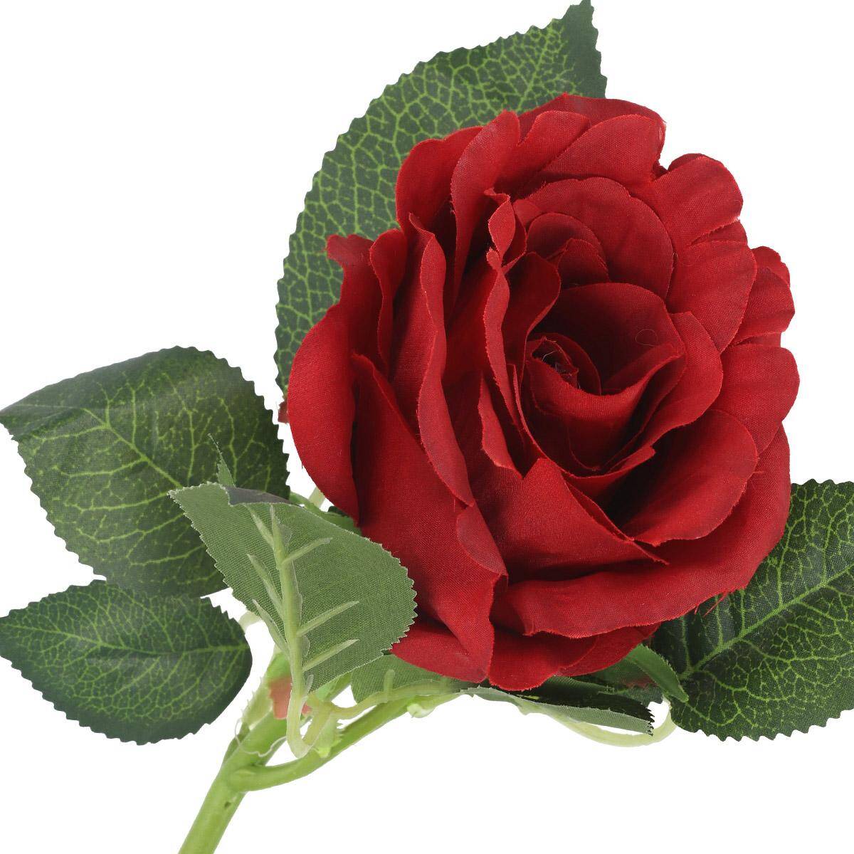 Róża pojedyncza 30cm RED (Zdjęcie 1)