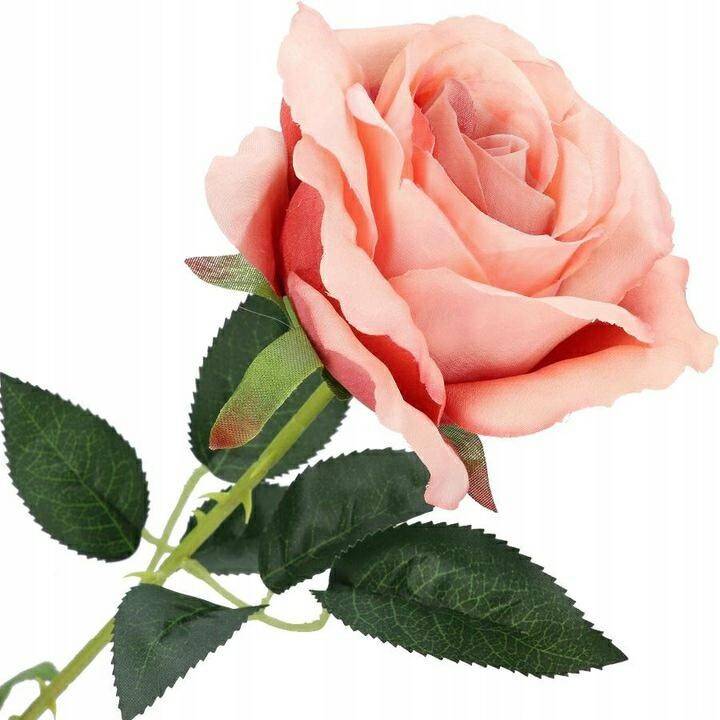 Róża pojedyncza 80cm pudr róż