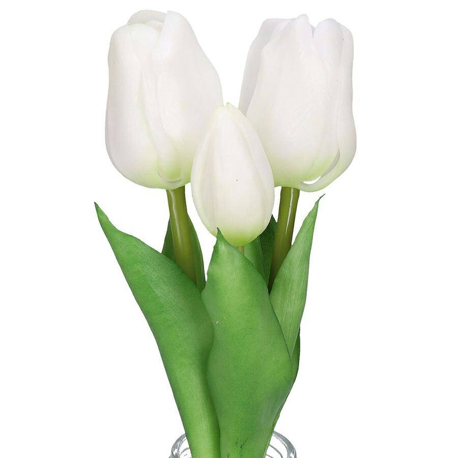 Tulipan gumowany bukiet x3 29cm biały