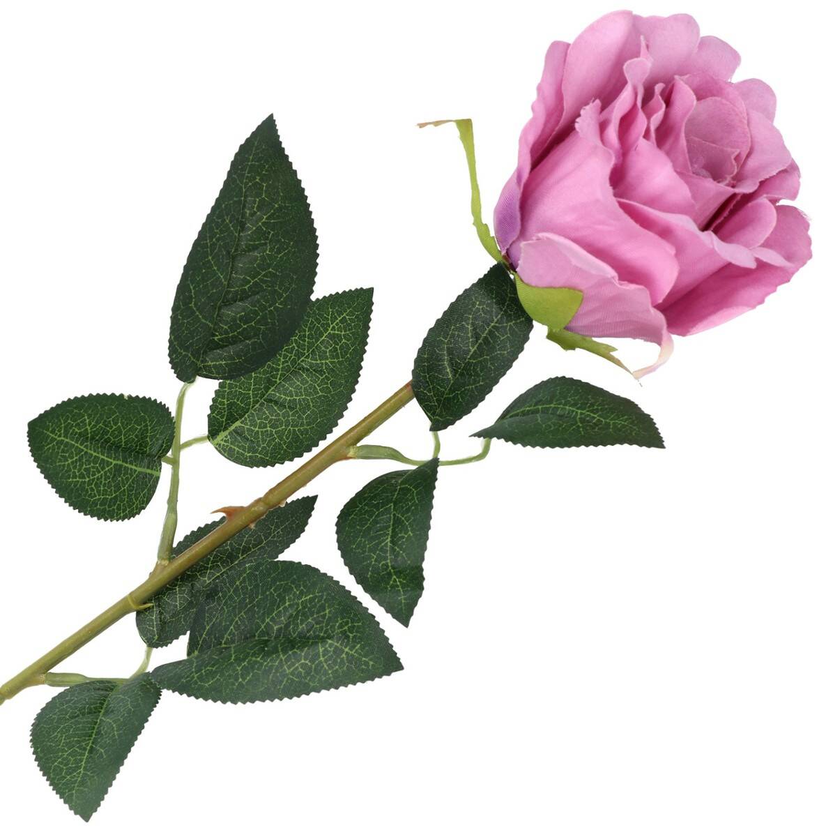 Róża pojedyncza (Zdjęcie 1)