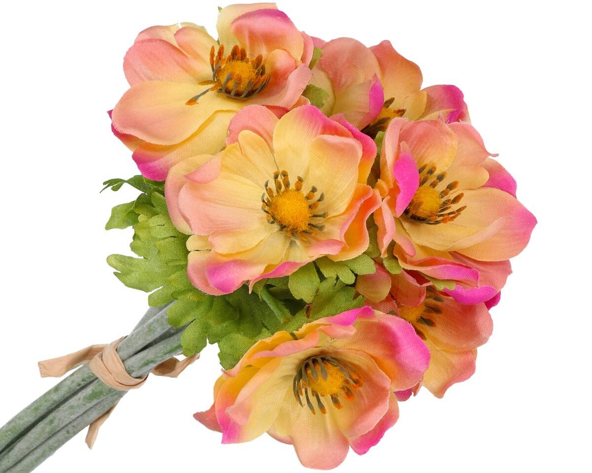 Anemon 6szt/pęcz. -szt.kwiat rożowo-żólt (Zdjęcie 12)
