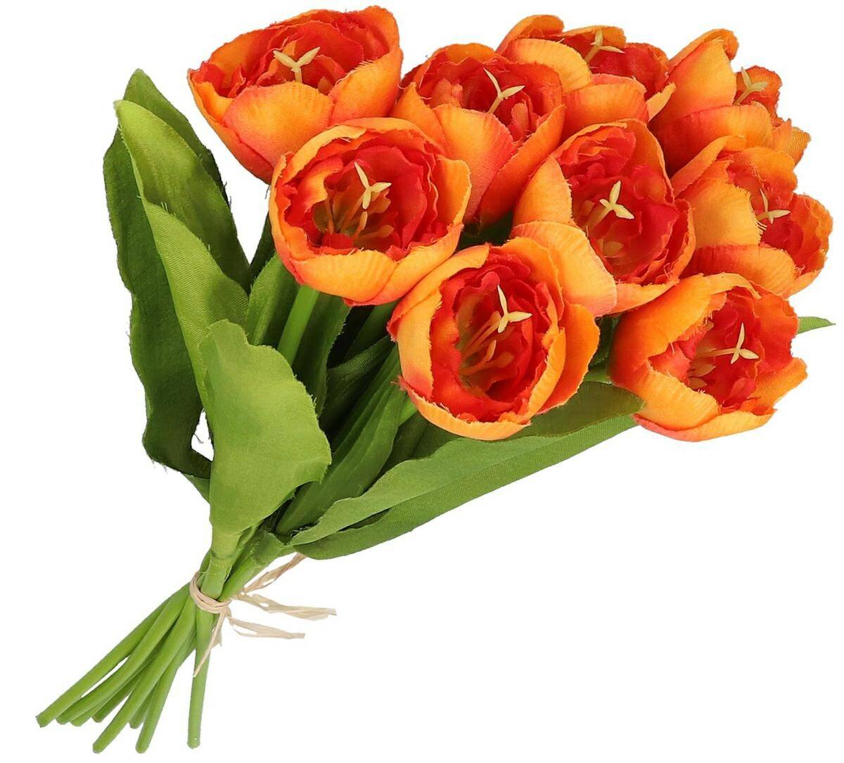Bukiet tulipanów 9szt (Zdjęcie 1)
