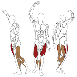 Ławka do ćwiczeń mięśni czworogłowych lub dwugłowych ud Leg Extension / Leg Curl L020 BH Fitness (Photo 2)