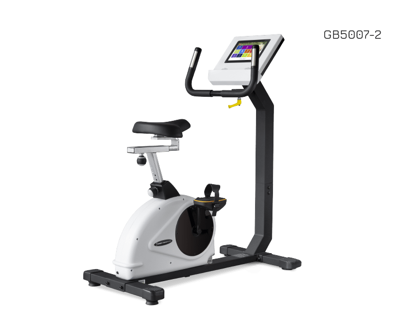 Rower Pionowy Body Trainer TFT 10.1 GB5007-10.1 Body Charger Fitness