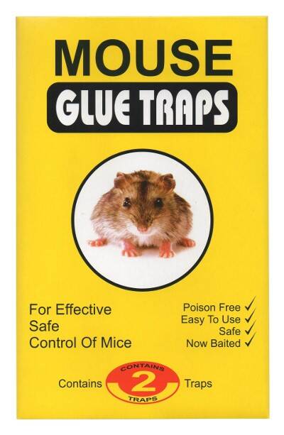 Mouse glue traps 2szt (Zdjęcie 1)