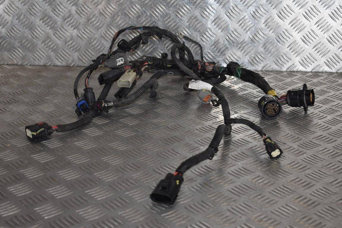 Front Body Wiring Harness