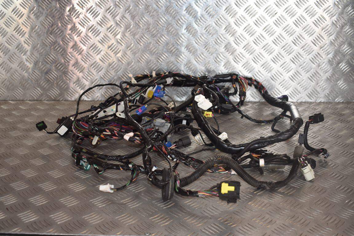 Left Front Body Wire Harness