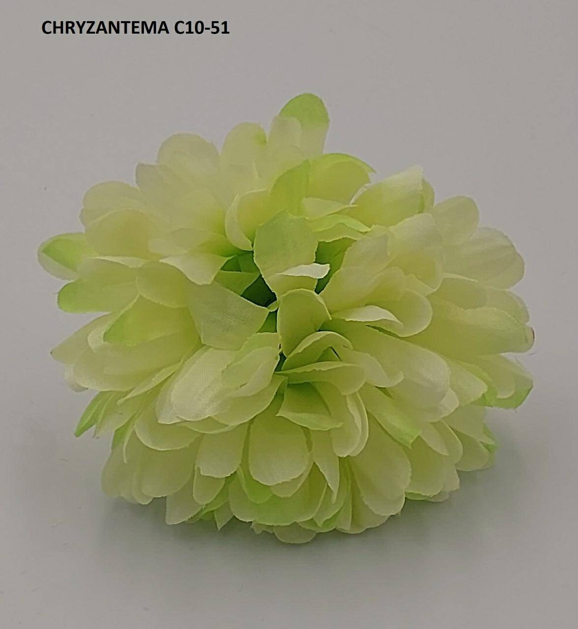 Chryzantema C10-051 Kremowy z Zielonym