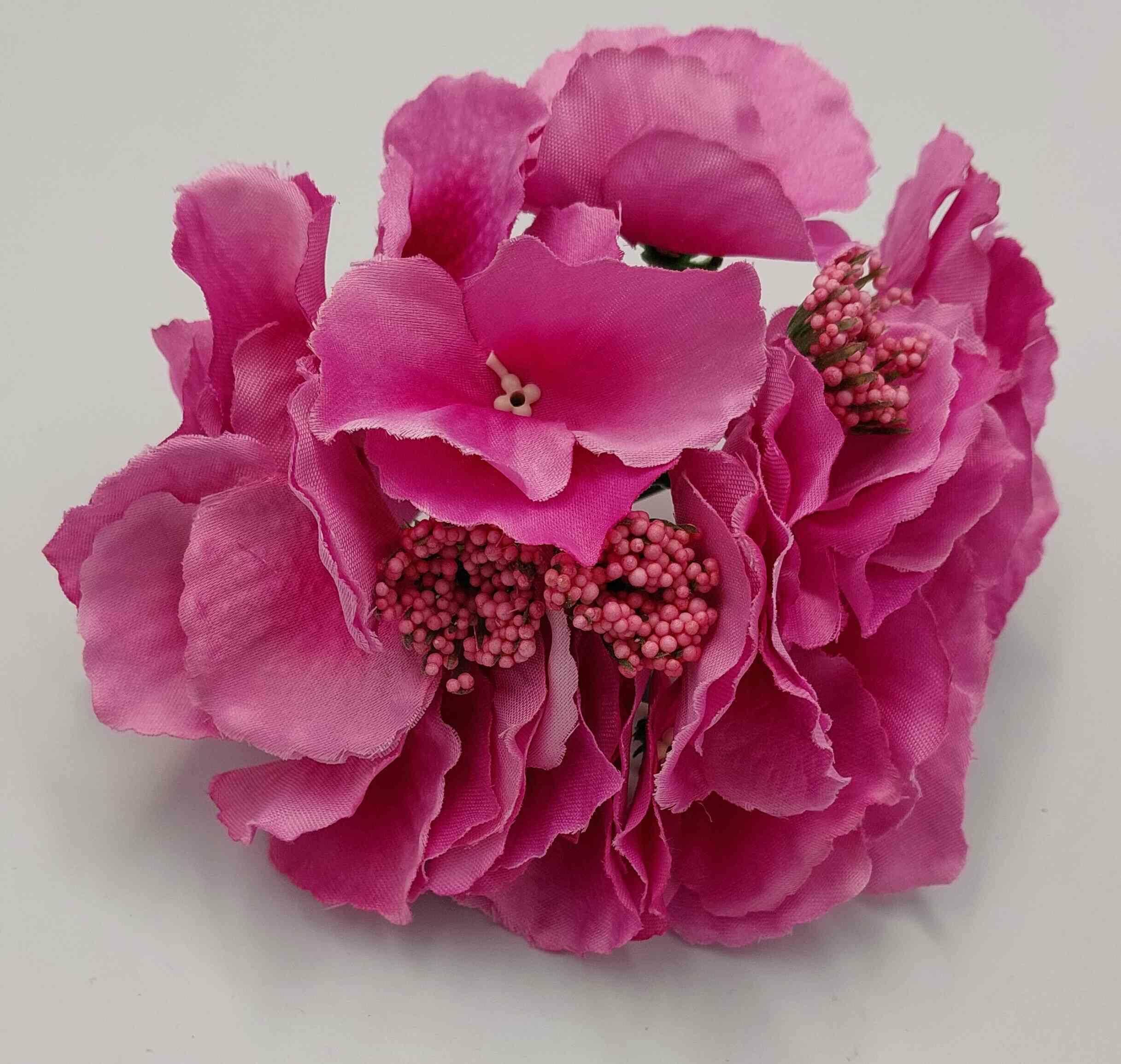 Hortensja Wyrobowa W184-41 Fresh Pink