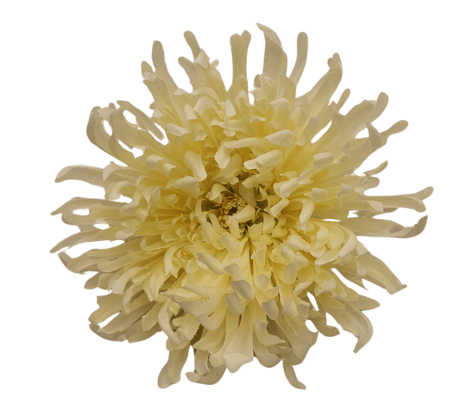 Kwiat Wyrobowy Chryzantema N020 Lemon