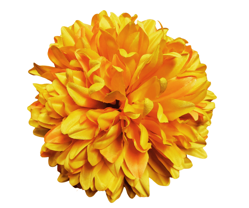 Kwiat Wyrobowy Chryzantema KX005