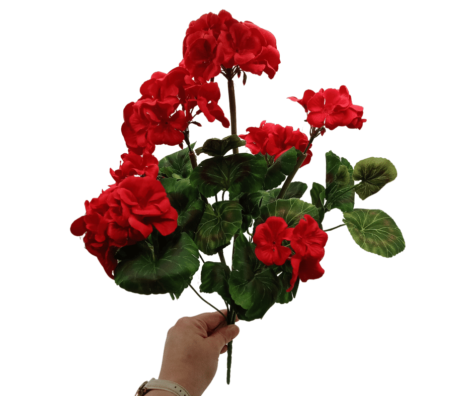 Bukiet Pelargonia 48cm Czerwona