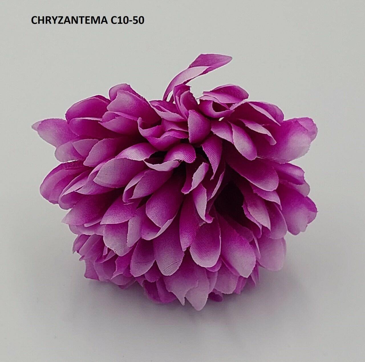 Chryzantema C10-050 Fiolet z Białym